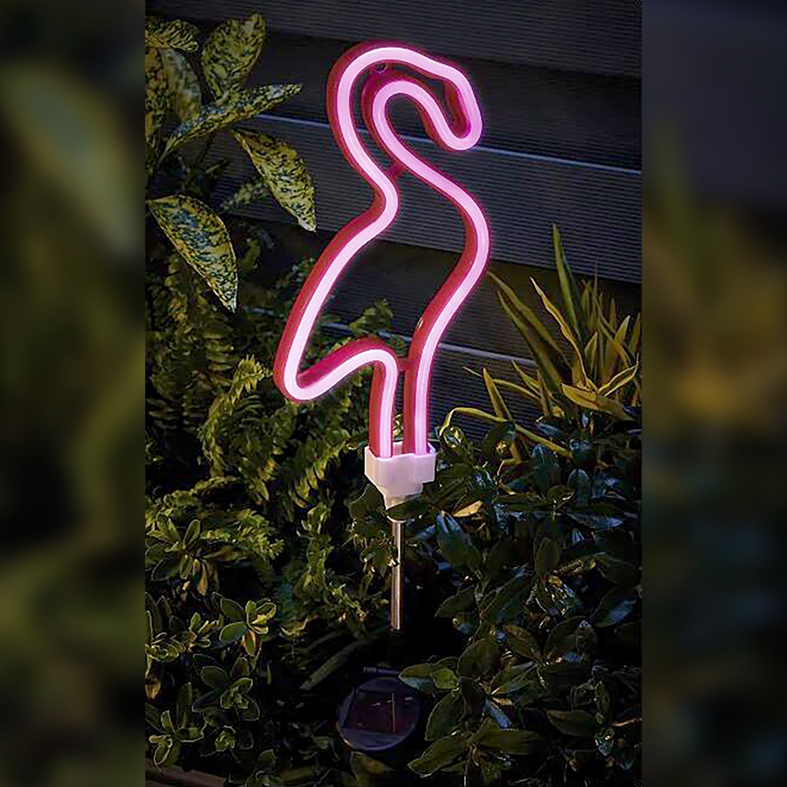 Click to view product details and reviews for Solar Neon Flamingo.