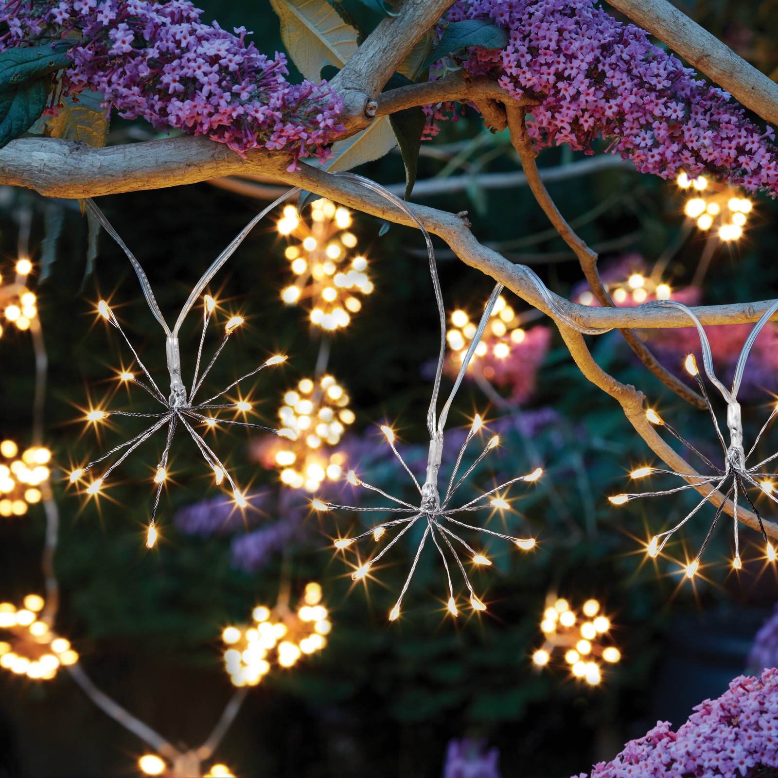 Click to view product details and reviews for Solar Starburst String Lights.