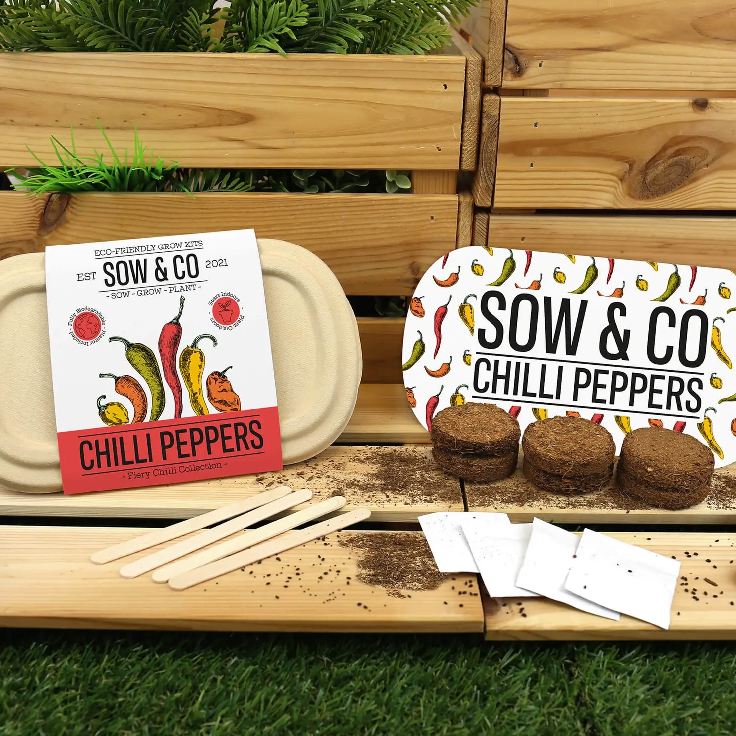 Click to view product details and reviews for Chilli Peppers Eco Friendly Grow Kit.
