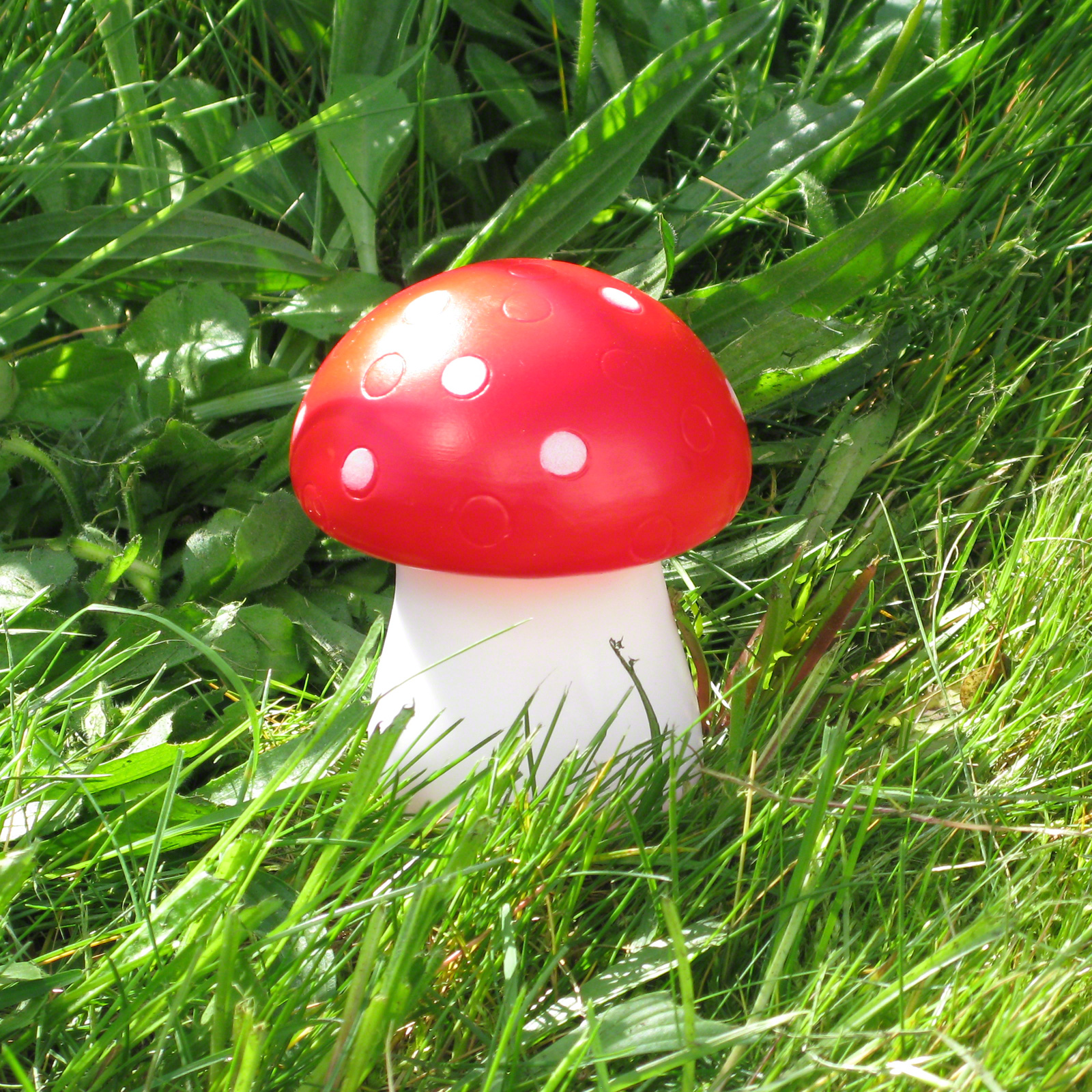 Click to view product details and reviews for Toadstool Night Light Led.
